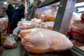 افت چشمگیر قیمت مرغ در خوزستان